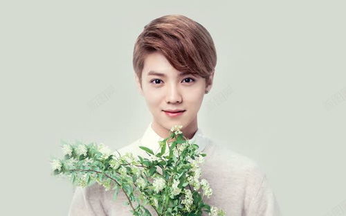 鹿晗 现象级偶像的“小鲜肉”标签与多维魅力